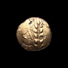 Cunobelin stater obverse
