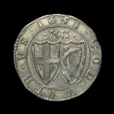 Commonwealth shilling reverse