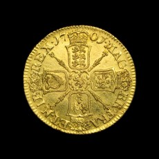William III guinea reverse