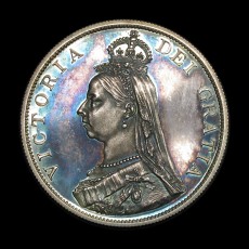 Victoria double florin obverse