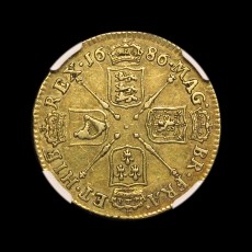 James II guinea reverse