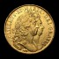 William and Mary five guineas reverse