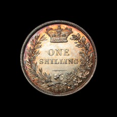 1873 shilling reverse