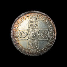 Anne shilling reverse