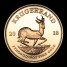 2018 proof double kruggerand obverse